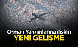 Orman Yangınlarına İlişkin Yeni Gelişme