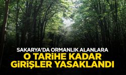 Sakarya'da Ormanlara O Tarihe Kadar Girişler Yasaklandı