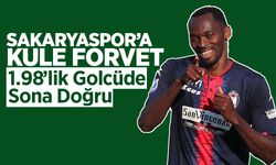 Sakaryaspor’a Kule Gibi Forvet!