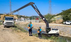 Çark Deresi ve Çevresi İçin Kapsamlı Temizlik