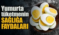 Yumurtanın İnsan Sağlığına Faydaları