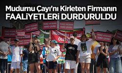Mudurnu Çayı'nı Kirleten Firmanın Faaliyetleri Durduruldu