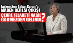 Maden Deresi'ndeki Çevre Felaketi Nasıl Görmezden Gelindi?