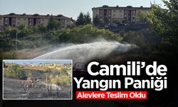 Camili’de Yangın Paniği: Alevlere Teslim Oldu