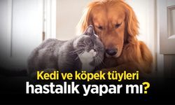 Kedi ve Köpek Tüyleri Hastalık Yapar Mı?