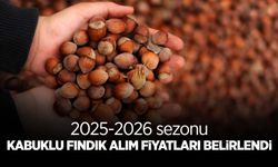 Kabuklu Fındık Alım Fiyatları Belirlendi