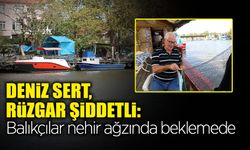 Palamut Sezonu Hüsranla Başladı