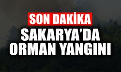 SON DAKİKA: Sakarya'da Orman Yangını!