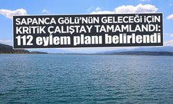 Kritik Çalıştay Tamamlandı: 112 Eylem Planı Belirlendi