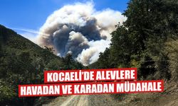 Kocaeli'de Orman Yangını