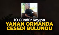 Yanan Ormanda Cansız Bedeni Bulundu