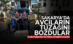 Avda Kullanılan 16 Yaban Ördeği Kurtarıldı