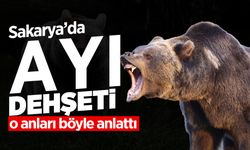 Hendek’te Ayı Paniği: Yara Bere İçinde Hastaneye Kaldırıldı
