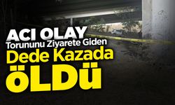 Torununu Ziyarete Giden Dede Öldü!