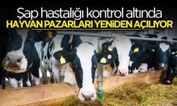 Hayvan Pazarları Yeniden Açılıyor