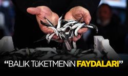 Balık Tüketmenin İnsan Sağlığına Faydaları