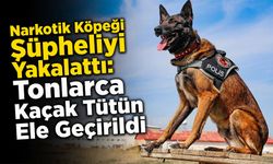 Sakarya'da Kaçakçılık Operasyonu