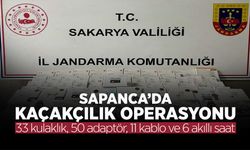 Sapanca'da Kaçakçılığına Darbe
