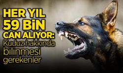 Kuduzun Belirtileri Neler?