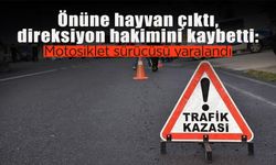 Önüne Hayvan Çıkan Motosiklet Sürücüsü Yaralandı