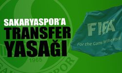 Sakaryaspor’a FIFA’dan Transfer Yasağı Cezası