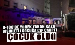 D-100'de Feci Kaza: Bisikletli Çocuk Hayatını Kaybetti