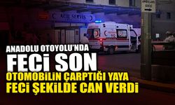 Otomobilin Çarptığı Yaya Feci Şekilde Can Verdi