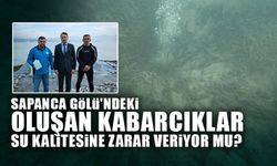 Sapanca Gölü'ndeki Oluşan Kabarcıklar Su Kalitesine Zarar Veriyor Mu?