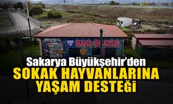 Sakarya’da Örnek Proje: Artık Yemekler Mama Oluyor