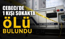 Cebeci'de 1 Kişi Sokakta Ölü Bulundu