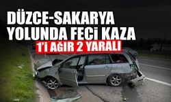 Düzce-Sakarya Yolunda Feci Kaza!