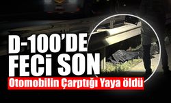 Otomobilin Çarptığı Yaya Hayatını Kaybetti!