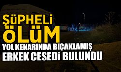 Şüpheli Ölüm: Yol Kenarında Cansız Bedeni Bulundu!