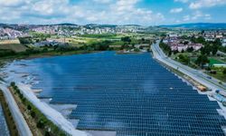 SASKİ 716 Bin Ağaç Dikimine Eş Değer Üretim İle 114 Milyon Liralık Gelir Elde Etti