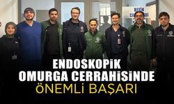Endoskopik Omurga Cerrahisinde Önemli Başarı