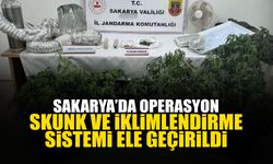 Sakarya'da Skunk ve İklimlendirme Sistemi Ele Geçirildi!
