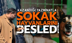 Nejdet Tıskaoğlu, Ali Rıza Tığ’dan Kazandığı Tazminatla Sokak Hayvanlarına Mama Aldı