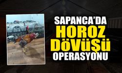 Sapanca’da Horoz Dövüşü Operasyonu 33 Hint Horozu Kurtarıldı
