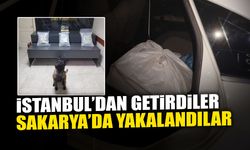 İstanbul’dan Getirdiler, Sakarya’da Yakalandılar