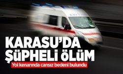 Yol Kenarında Cansız Bedeni Bulundu!