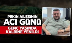 Pekin Ailesinin Acı Günü: Genç Yaşta Kalbine Yenildi!