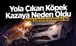 Faciadan Dönüldü: Köpeğe Çarpmamak İçin Direksiyonu Kırdı