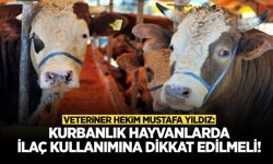 Kurbanlık Hayvanlarda İlaç Kullanımına Dikkat Edilmeli
