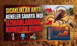 Sıcaklıklar Arttı, Kene Tehdidi Başladı!