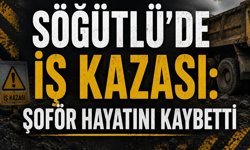 Direksiyon Hakimiyetini Kaybetti, Canından Oldu