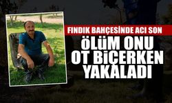 Fındık Bahçesinde Acı Son: Ölüm Onu Ot Biçerken Yakaladı