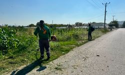 Yol Kenarlarında Kapsamlı Bakım ve Ot Temizliği