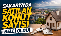 Sakarya'da Satılan Konut Sayısı Belli Oldu