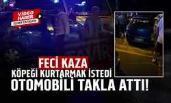 Feci Kaza: Köpeği Çarpmamak İçin Taklalar Attı!