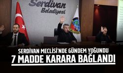 Serdivan Meclisi’nde 7 Madde Karara Bağlandı